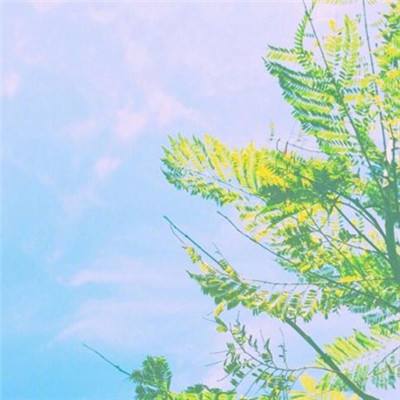 橙光游戏破解版诱惑者完结版下载